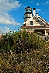 Brush Surrounds Highland (Cape Cod) Lighthouse